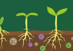 測(cè)土配方施肥儀幫助制定合理施肥方案